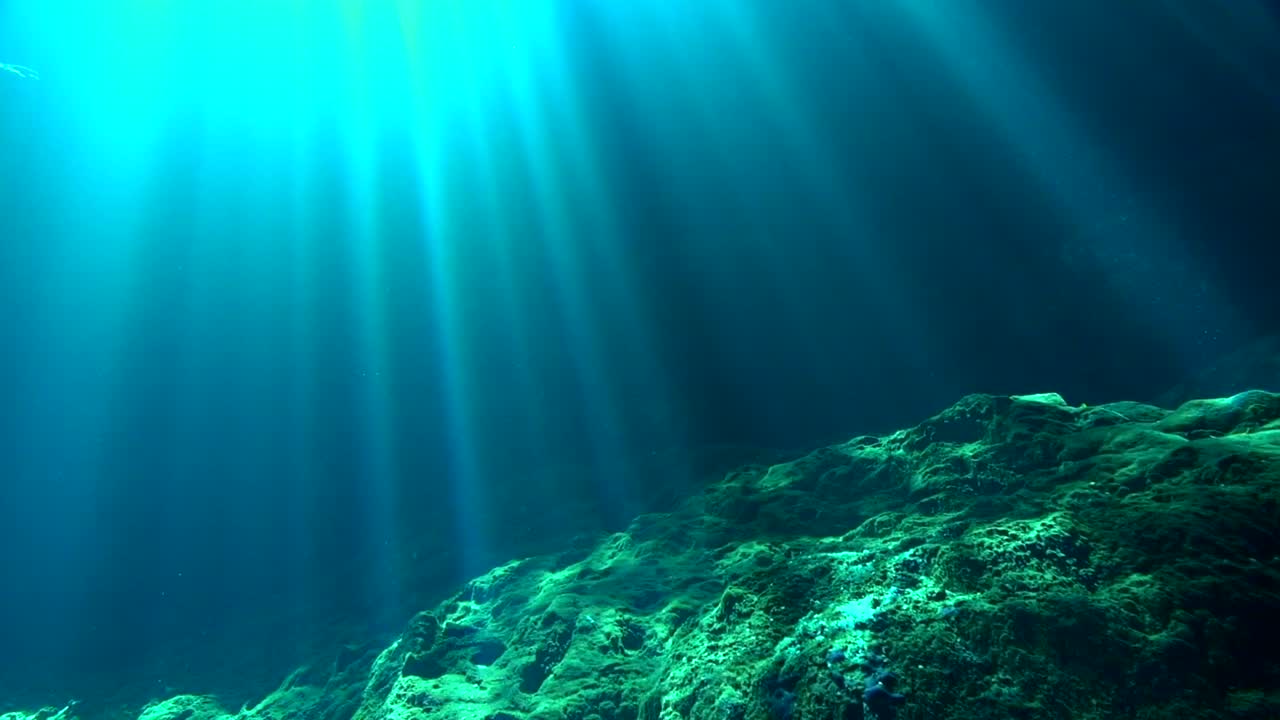 rayos de sol en cenote