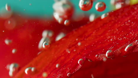 bubbles in water surrounding a red pepper slice