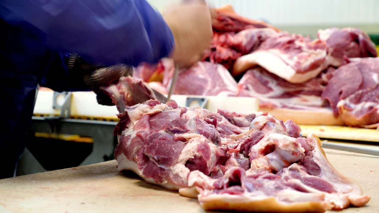 Raw Pork Processing in a Slaughterhouse