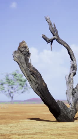 dried tree trunk stands alone in a vast arid landscape under blue skies