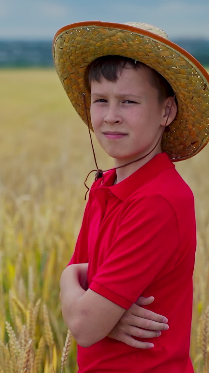 Boy in field of wheat. Portrait of cute kid in wheat field. Vertical video