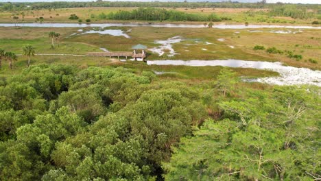 everglades swamp boardwalk and park lookout aerial approach