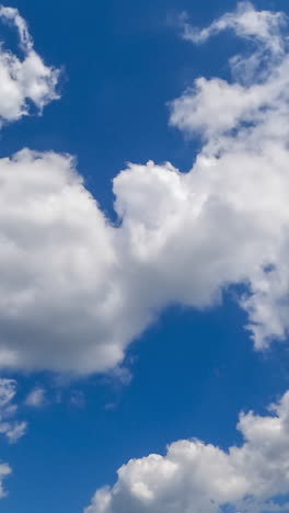 amazing blue summer sky with beautiful clouds. white cumulus clouds at midday sunshine day timelapse. vertical video