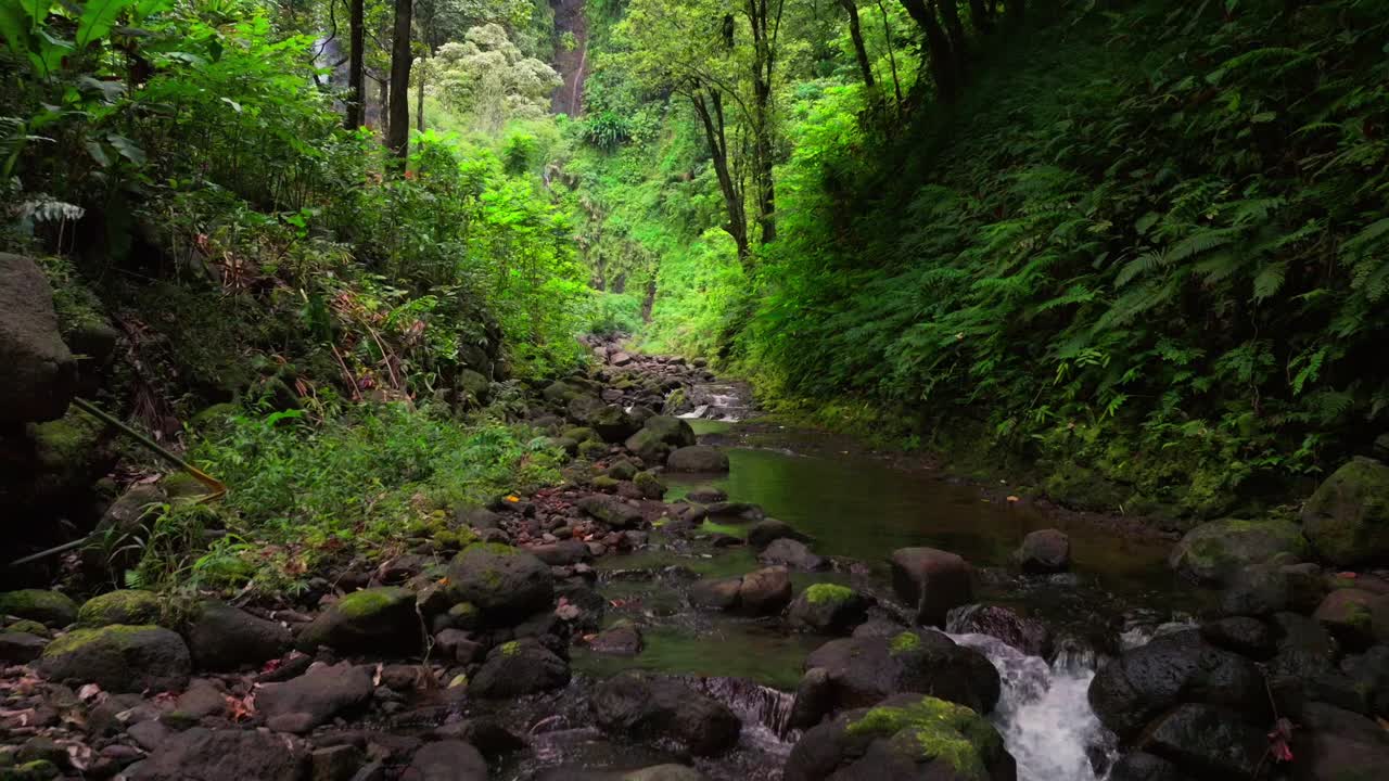 Three Waterfalls Trail Les Trios Cascades Faarumai Valley Waterfall Falls Tahiti Island French Polynesia aerial drone picturesque river Vaimahuta Tiarei Hitiaa watershed jungle forest backward motion