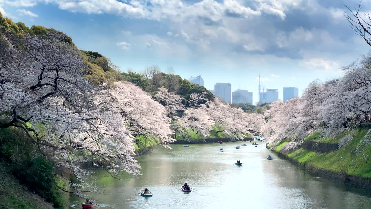 vista panorámica del palacio imperial con flores de cerezo reflejadas en el foso durante la navegación en botes en el parque chidorigafuchi