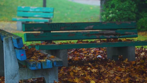 Banco-De-Parque-Verde-En-Otoño-Con-Hojas-Cayendo-De-Los-árboles-De-Arriba