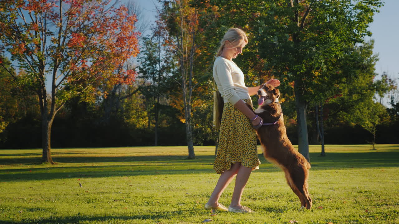 mujer activa juega con un perro en el parque