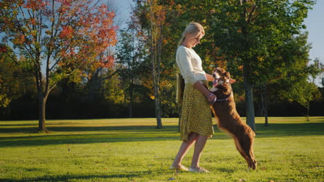 Aktive-Frau-Spielt-Mit-Einem-Hund-Im-Park