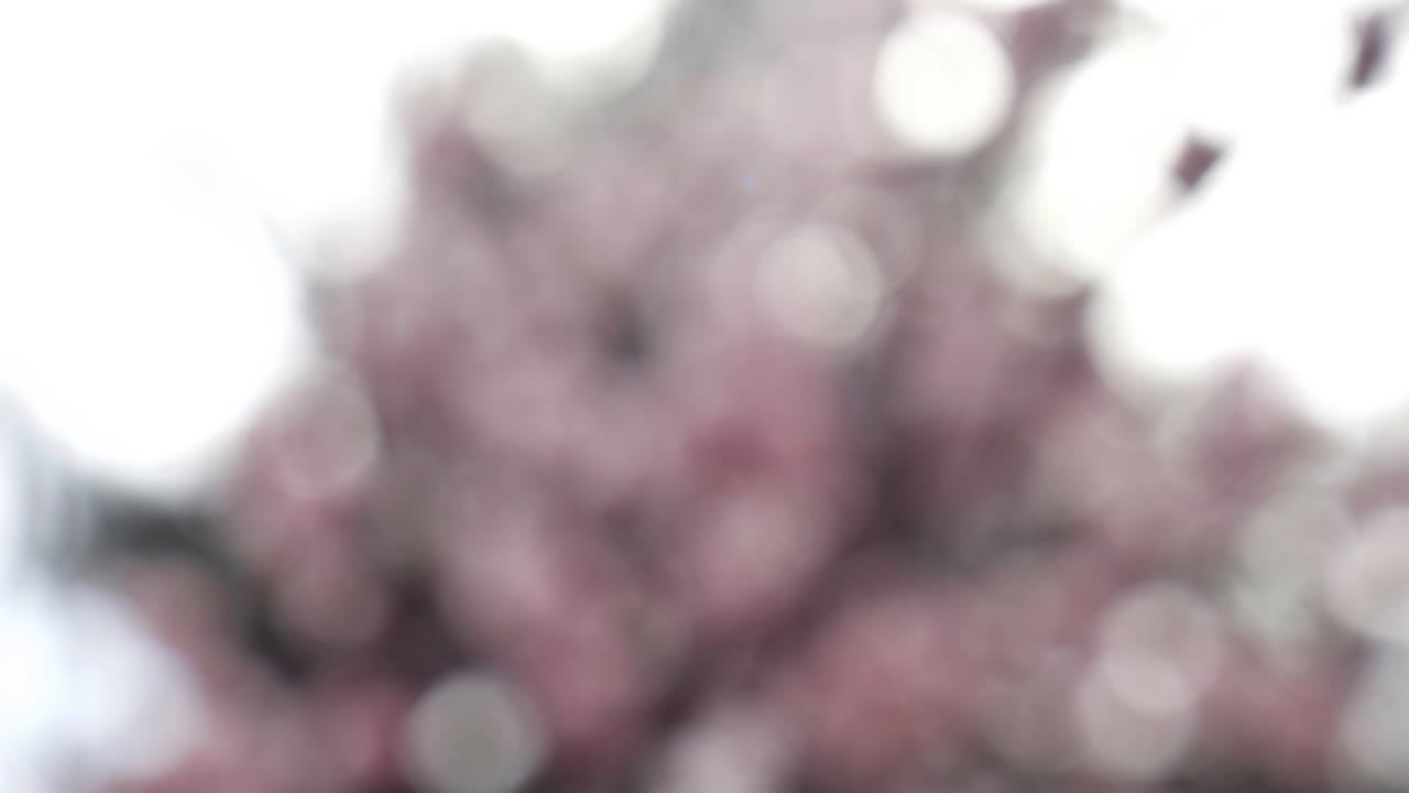 보케와 함께 추상적인 여름 배경