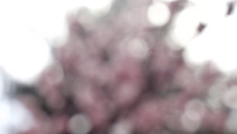 fondo de verano abstracto con bokeh