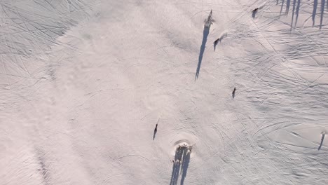 Aerial-overhead-shot-of-snowmobiles-riding-on-the-snow-in-Revelstoke,-Canada