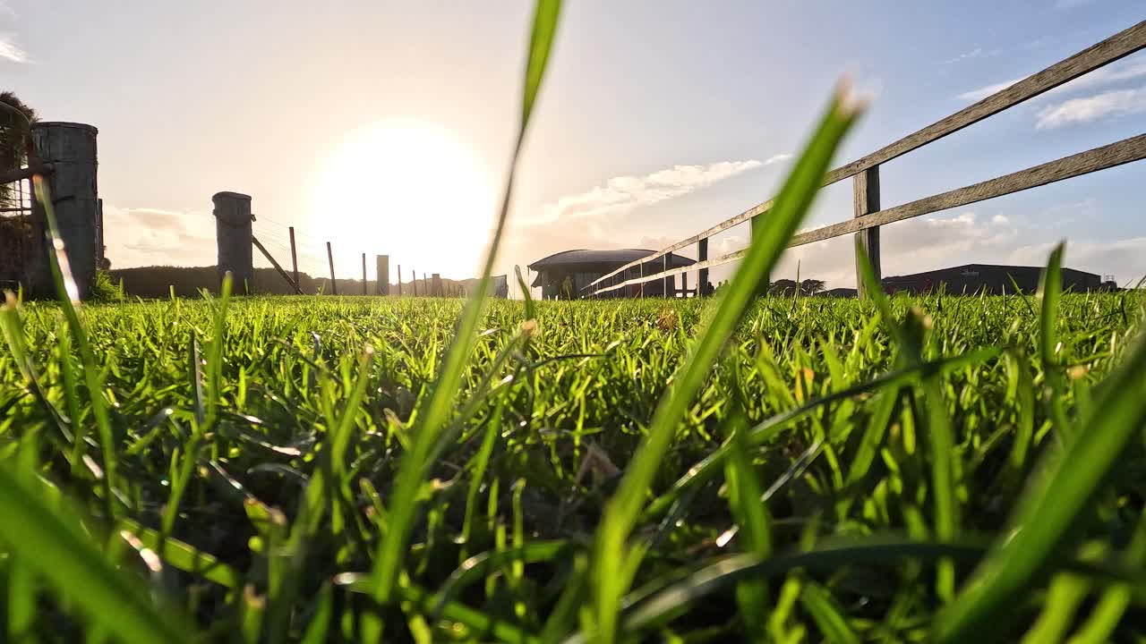 Sunset view over grassy field and fence