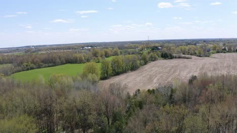 una toma rápida que vuela sobre el bosque y luego muestra los campos de agricultores ubicados en puslinch, ontario