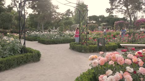 woman taking pictures on her phone of roses in la rosaleda del retiro. capturing the beauty of the garden.