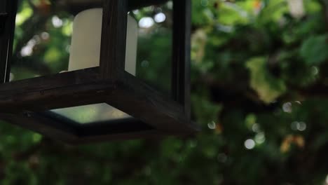 on the porch hangs a lantern with a candle on the background of a vine with thick green leaves