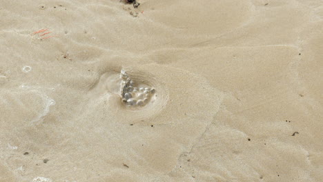 bubbling water coming up from holes in the sandy beach