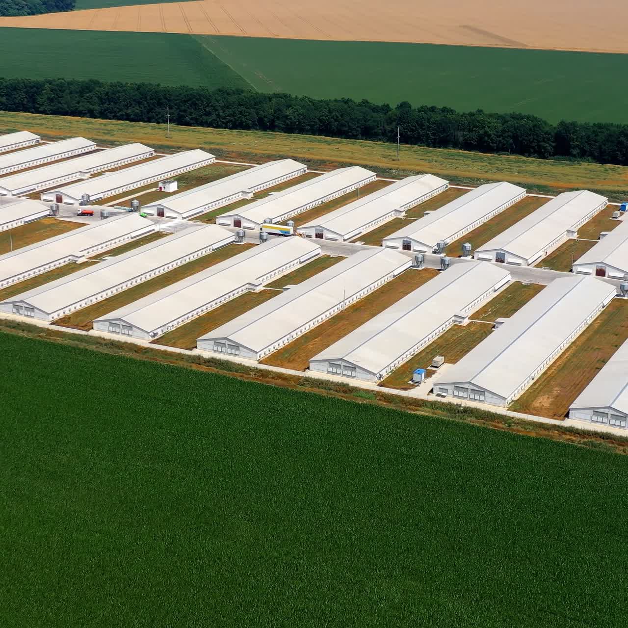 Motion camera view from the drone at the big farm in the midst of green field. Farming concept. Aerial view