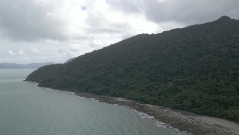 idyllic view of lush vegetations at daintree rainforest mountains in far north queensland, australia