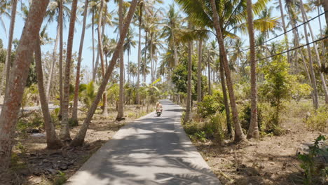 couple riding scooter on tropical island exploring palm tree forest on motorcycle tourists explore holiday destination with motorbike aerial view