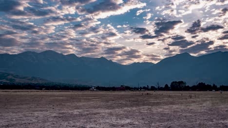 justo antes de que salga el sol, el ganado de cuernos largos pasta y se aleja en la distancia mientras el paisaje de nubes antes del amanecer pasa por encima - lapso de tiempo estático