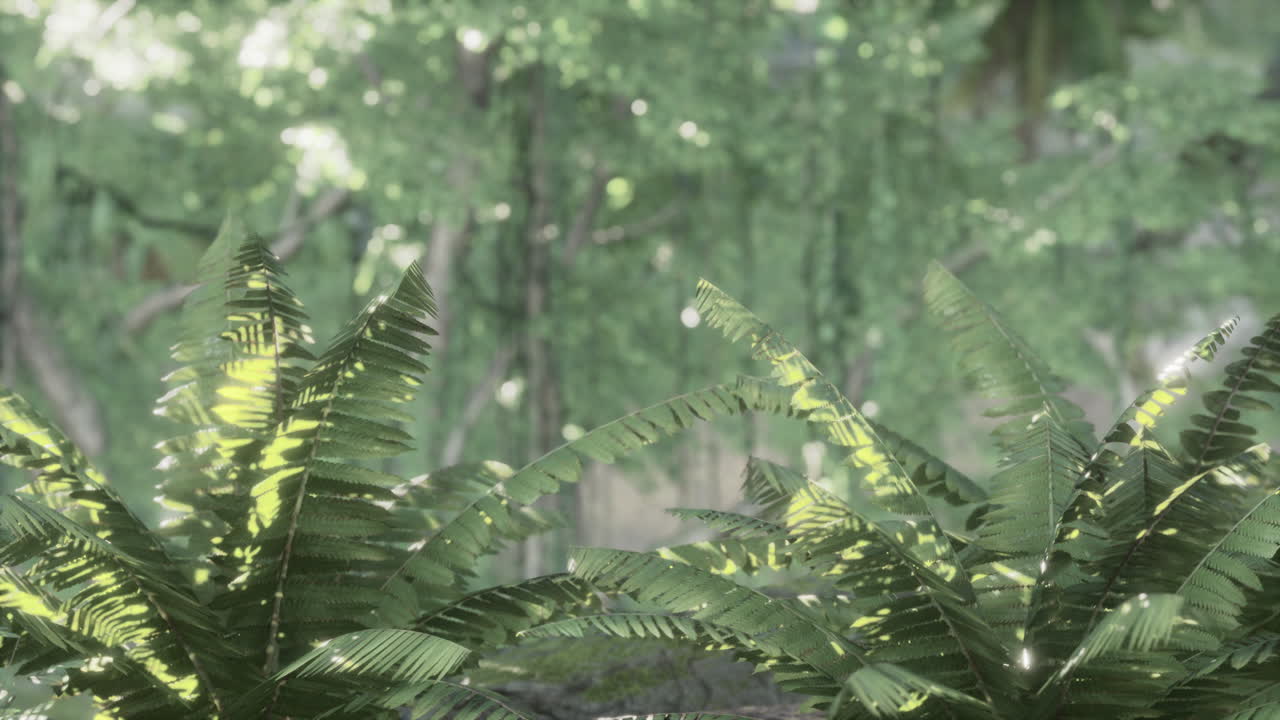 깊은 안개 속의 정글 숲의 나무들