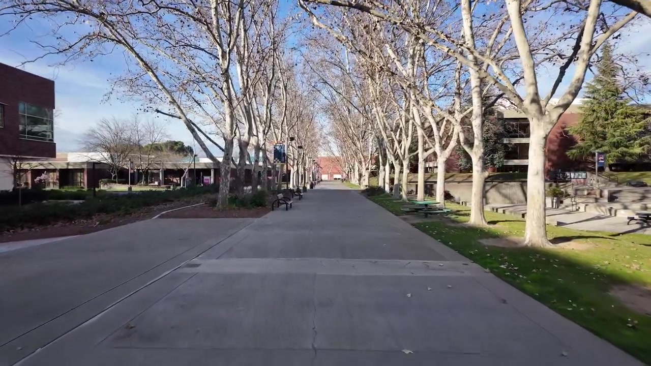 Udsigt over Cosumnes River College-gangstien i Sacramento, omkranset af bladløse træer, tomme bænke og campusbygninger i mursten under klart dagslys med skarpe vinterskygger