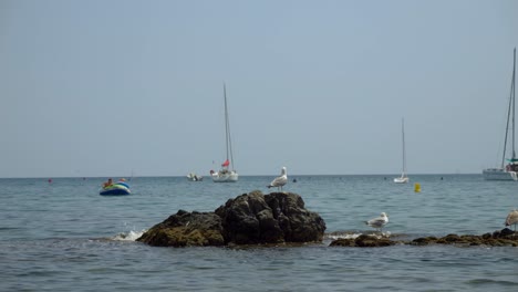 sailing boats anchored at the shore of france with in the foreground some seagulls chilling on the rock and someone falling from his rubber boat