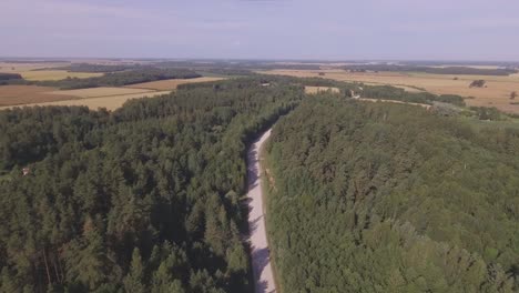 Der-Urige-Schotterweg-Führt-An-Einem-Sonnigen-Sommertag-Durch-Den-Wald