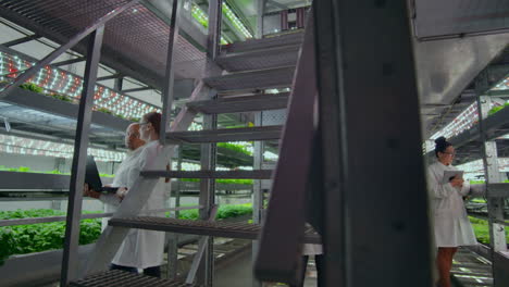 ingenieros agrícolas que trabajan en la plantación. retrato en toda su longitud de cuatro científicos modernos que estudian la selección de verduras en el invernadero de la agricultura