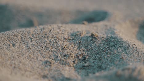 macro-close up of sand from the beach