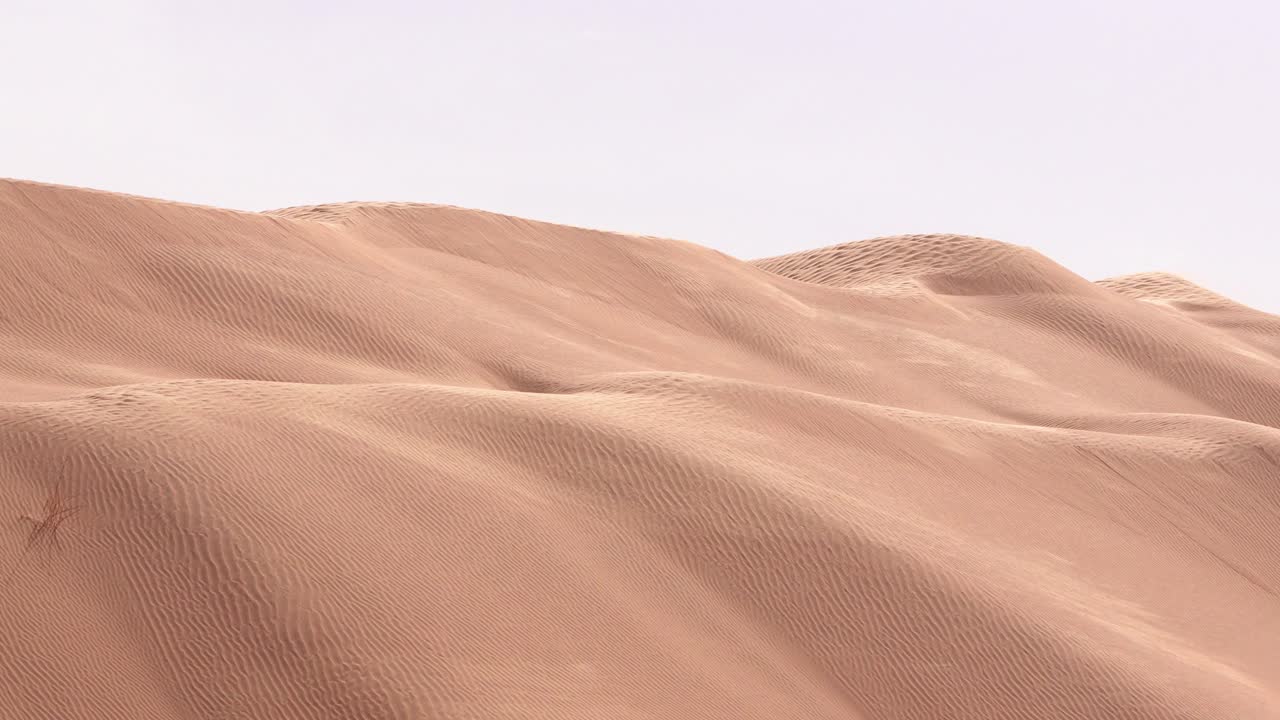 Wind blowing over sand dunes in Tunisia Sahara forming ripples and smooth golden textures a natural desert landscape showing the raw beauty power and silence of the arid environment