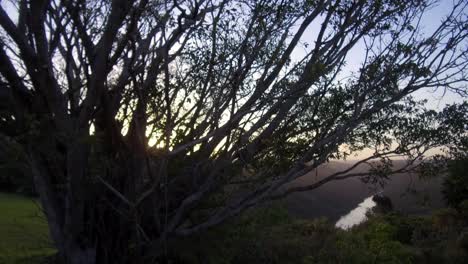 sun setting behind a tree with a river in the background