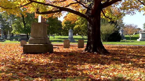 colorful autumn leaves and headstones 4k