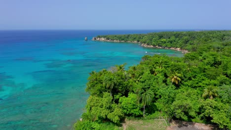 spectacular drone aerial flyover of magnificent clear blue atlantic ocean waters and tropical green trees at playa preciosa beach, dominican republic