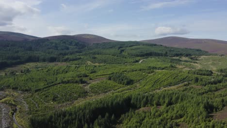 Una-Toma-Aérea-Sobre-Los-Bosques-Con-Las-Montañas-Wicklow-Al-Fondo-Durante-Un-Día-Soleado-Con-Cielos-Azules