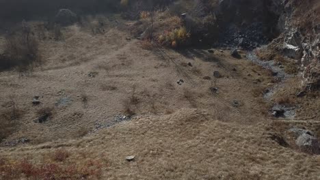 Vista-Aérea-De-Arriba-Hacia-Abajo-Sobre-Un-Arroyo-De-Bosque-En-Otoño