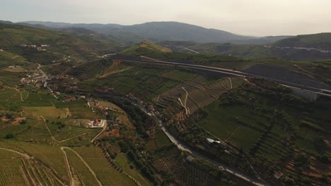 Aerial-View-Famous-Moutains-Vineyards