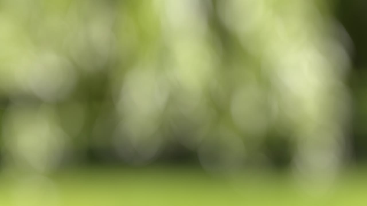 vuelo de sandía y rebanadas en el fondo del jardín