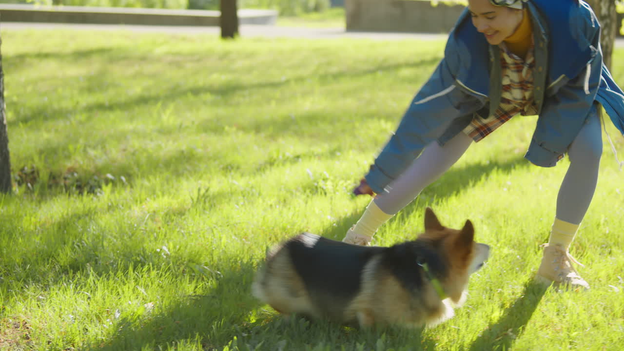A person and a corgi walking and playing in a sunny park