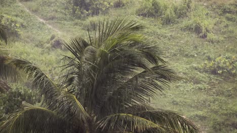 Tormenta-De-Huracán-En-El-Caribe-Con-Fuertes-Vientos-Y-Lluvias.