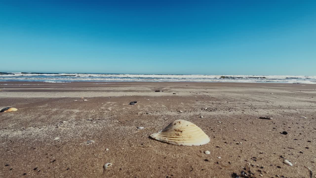 텍사스만 해안 파도와 함께 모래 위에 놓인 조개껍데기 클로즈업
