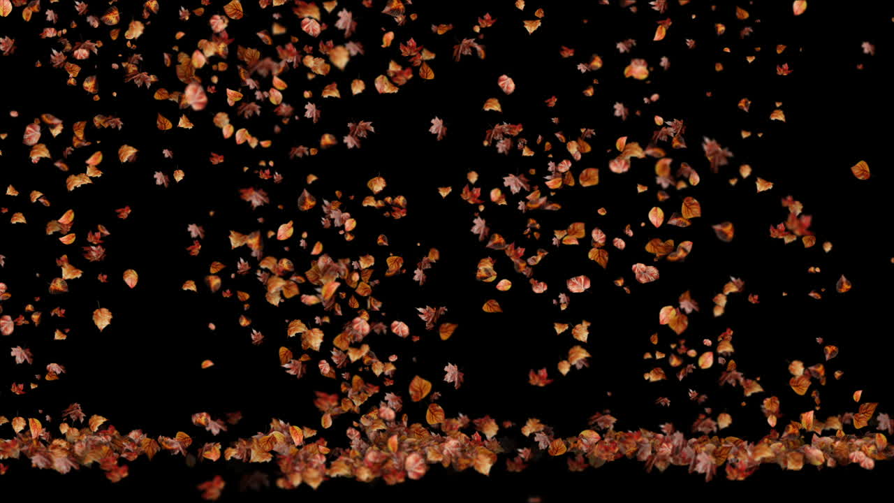 Looped Autumn Leaves Leaf Fall on the Ground Loop