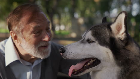 el dueño de la mascota con sus perros