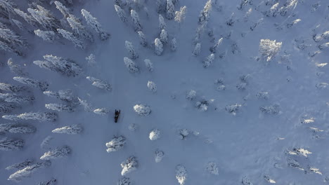 vista superior de una moto de nieve con un dron que atraviesa un denso bosque invernal en branäs, suecia