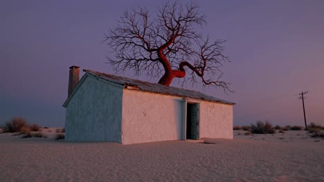 abandoned desert house with a tree