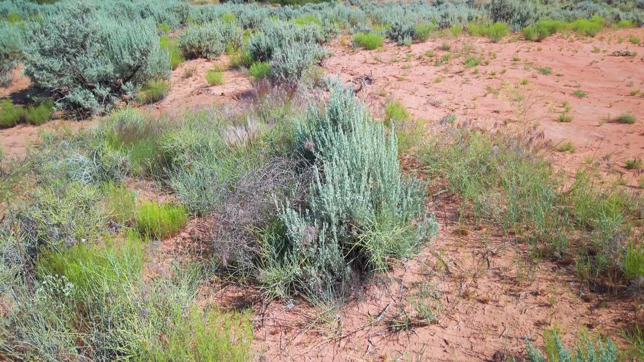 tiro inclinado de yurtas del desierto reunidas debajo de un monolito de piedra arenisca de roca roja