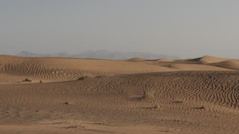 middle eastern desert landscape