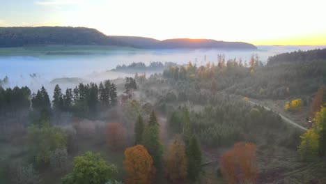 Sonnenaufgang-In-Einem-Nebligen-Wald