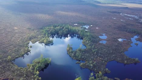 hermosa vista aérea del paisaje pantanoso con lagos