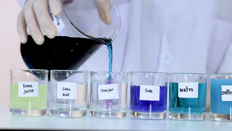 demonstrating ph changes with butterfly pea flower